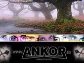 Ankor profile picture