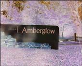 Amberglow Symphony profile picture