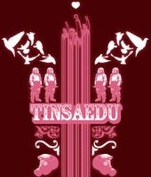 TINSAEDU profile picture