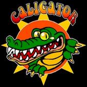 Caligator profile picture