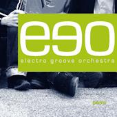 Electro Groove Orchestra profile picture