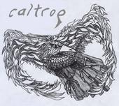 caltrop profile picture