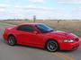 Mustang Cobra profile picture