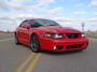 Mustang Cobra profile picture