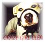 THE AMERICAN PIT BULL TERRIER profile picture