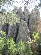 Hiking the Black Hills profile picture