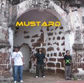 Mustard (Seeks for GiGs) profile picture