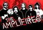 THE AMPLIFIRES profile picture