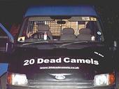 20 Dead Camels profile picture