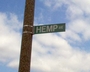 NORML High Times profile picture