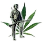 NORML High Times profile picture