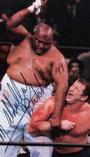 Abdullah the Butcher profile picture