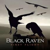 BlackRaven profile picture