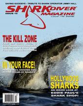 Shark Diver Magazine profile picture