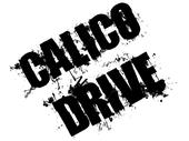 Calico Drive R.I.P. profile picture