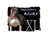 madcountykennel