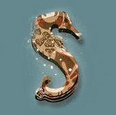 Seahorse Recordings profile picture