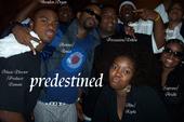 ~the official page for Predestined~ profile picture