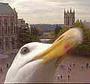 The Evil Seagulls profile picture