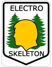 Electro Skeleton profile picture