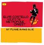 Elvis Costello profile picture