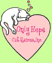 Only Hope Cat Rescue, Inc. profile picture