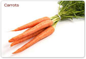 Carrot profile picture