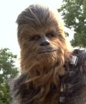 chewbaccawookiee