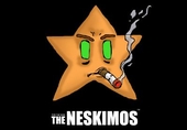 The NESkimos profile picture