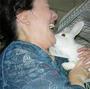 RabbitMatch.org profile picture