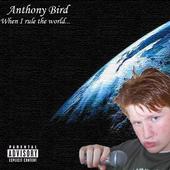 Anthony Bird profile picture