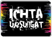 Ichta Ursungat profile picture