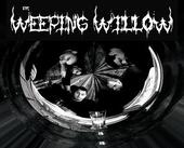 THE WEEPING WILLOW profile picture