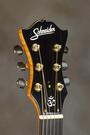 Schneider Guitars profile picture