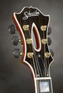 Schneider Guitars profile picture