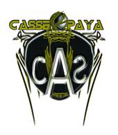 Casseopaya profile picture