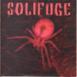 Solifuge profile picture