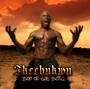 ikechukwu_Son_Of_The_Soil profile picture