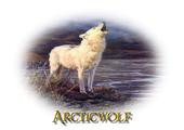 ArcticWolf profile picture