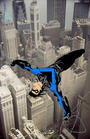 Nightwing profile picture