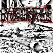 Clitoridus Invaginatus 3 New songs up!! profile picture