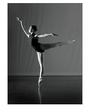 Laguna Dance Theatre profile picture