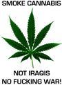 Midge Potts 4 Legalizing Cannabis and Ending War! profile picture