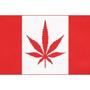 Team Cannabis profile picture