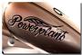 Powerplant Choppers.com profile picture