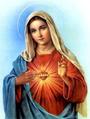 Blessed Virgin Mary profile picture