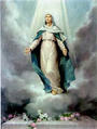 Blessed Virgin Mary profile picture