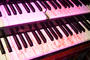 Big Organ Trio profile picture