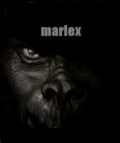 marlex profile picture