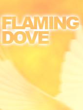 FLAMING DOVE profile picture